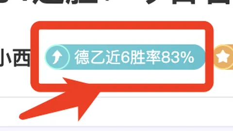 [国际足球]多特蒙德胜利喜迎新加盟球员